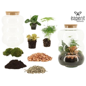 90860: DIY Terrarium XL Rings D21 / H35