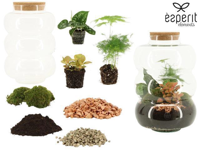 <h4>90860: DIY Terrarium XL Rings D21 / H35</h4>