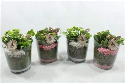 <h4>4950 Pot Zwaar Roze/wit</h4>
