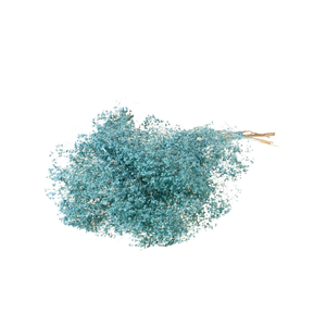 Broom Bloom Bunch Blue Misty