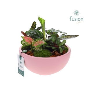 Schaal keramiek Moon Large roze mat met groene planten