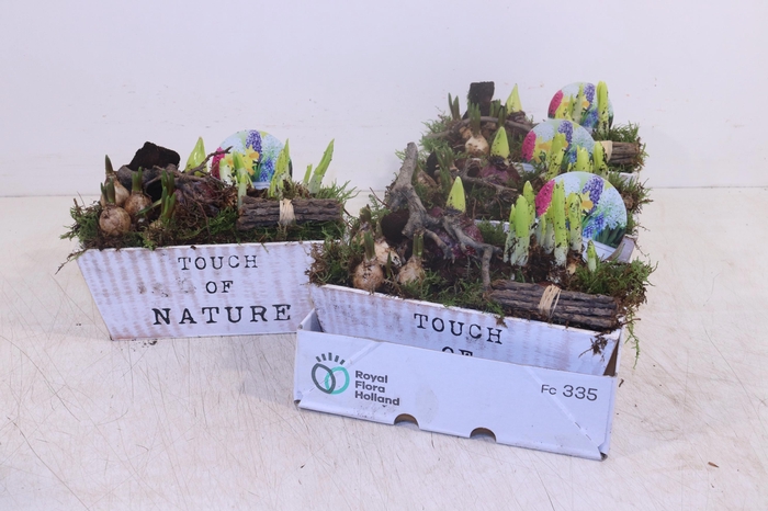 <h4>ARR BOL KNOLGEWAS</h4>