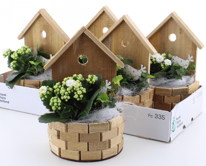 <h4>ARR KAMERPL</h4>