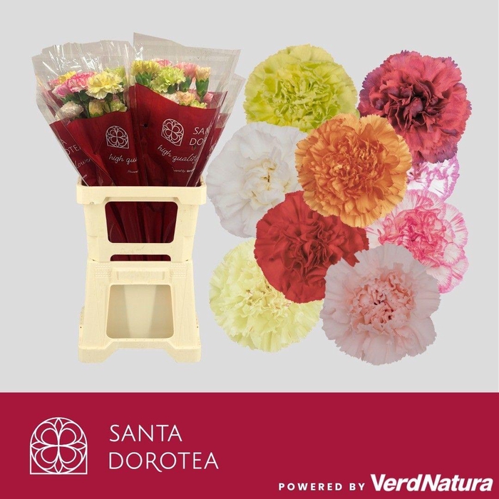 <h4>DI ST GEM IN BOS</h4>