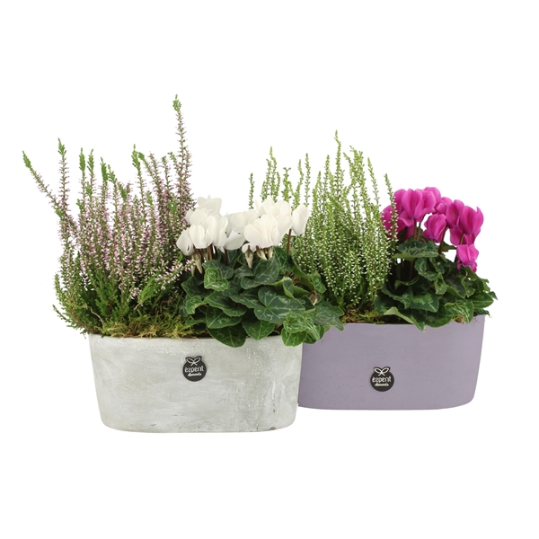 <h4>41469: Outdoor autumn arrangement</h4>