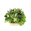 Hedera Bes 300gr