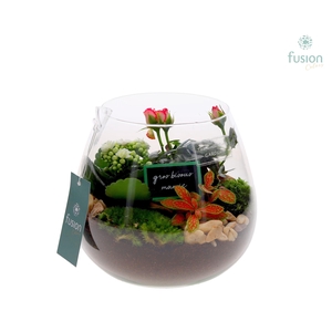 Green Bottle Abby Medium Grootmoederdag met Arrangement