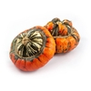 Sier Cuc P Turks Turban Mix X6
