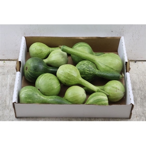 Sier Cuc P Kalabas Fles Groen X12