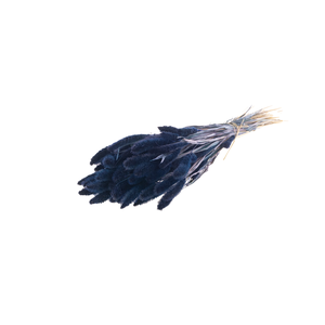 Setarea Dark Blue