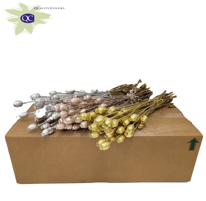 <h4>Papaver per bunch Mixed colours Wedding</h4>