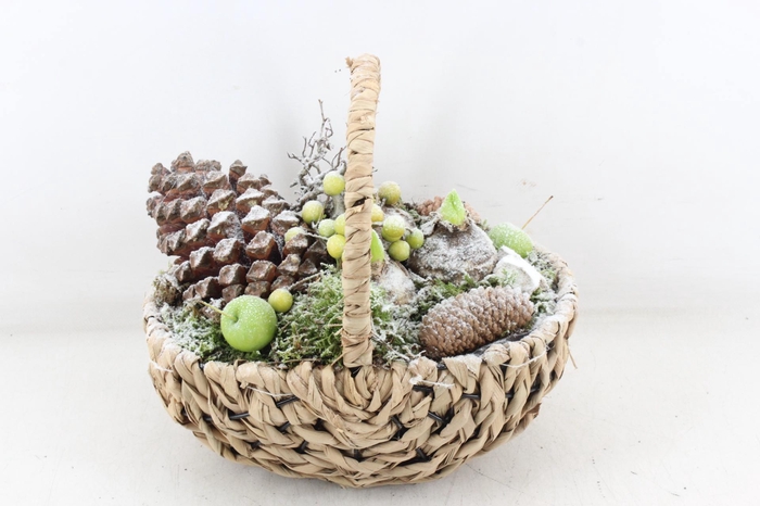 <h4>arr4 Hyacint MB - Tasmand x4</h4>