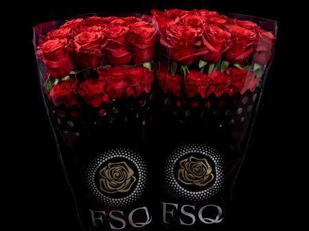 <h4>R Gr Mamma Mia</h4>