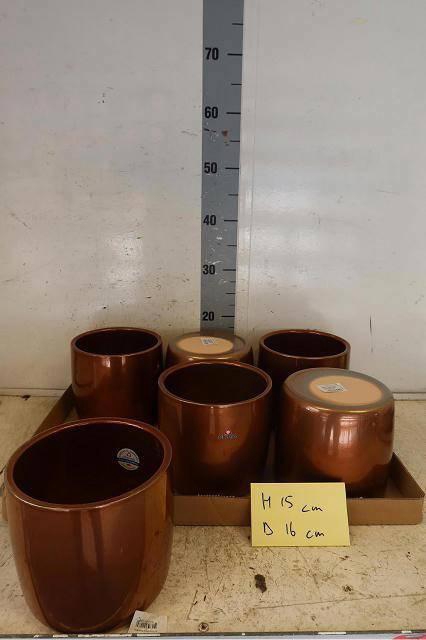 <h4>HUIS EN TUINDECO H%</h4>