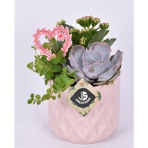 Keramiek ruit pot roze 12,5cm