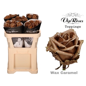 R Gr Vip Wax Caramel X30