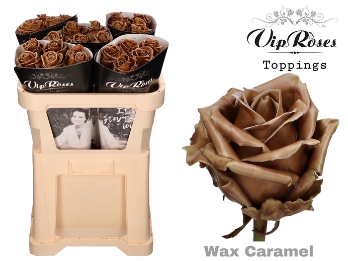 <h4>R Gr Vip Wax Caramel X30</h4>