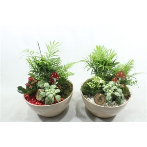 6161 KER BEIGE INDOOR