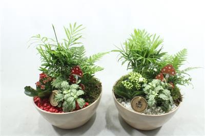 <h4>6161 KER BEIGE INDOOR</h4>