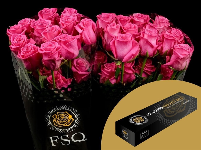 <h4>R GR Cotton Candy Box</h4>