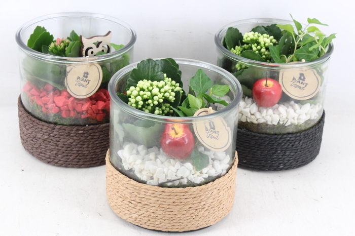 <h4>arr2 PL - Glas cilinder touw x3 mix</h4>