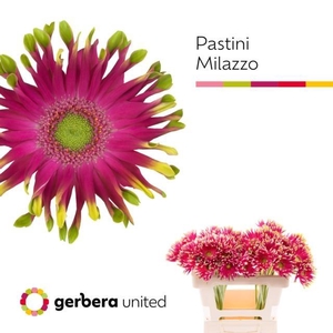 GE KV PASTINI MILAZZO