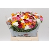 Ranunculus Elegance Mix Rainbow (min 20 buckets)