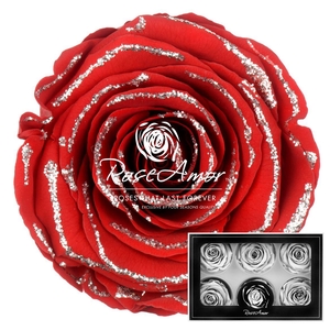 Lplus Glitter Silver Red02