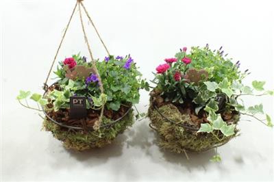 <h4>2476 Hanging Basket</h4>