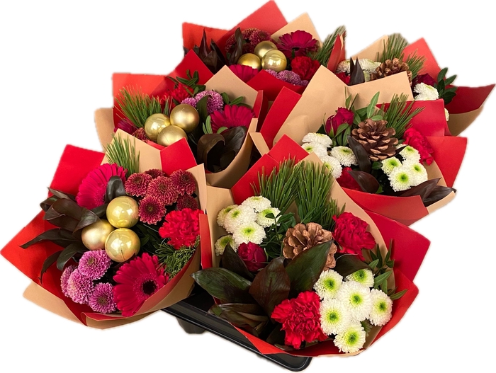 <h4>Bq Sixpack Xmass</h4>