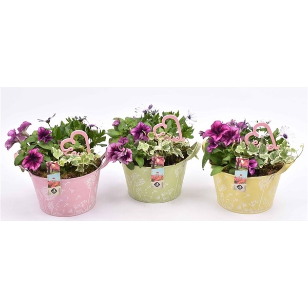 <h4>Zink teil bloemdecor kl.mix 18cm</h4>