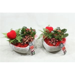 2290 X3 Rood Hart Beton