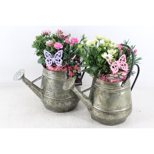 arr4 Outdoor MB - Zink gieter green 285/6