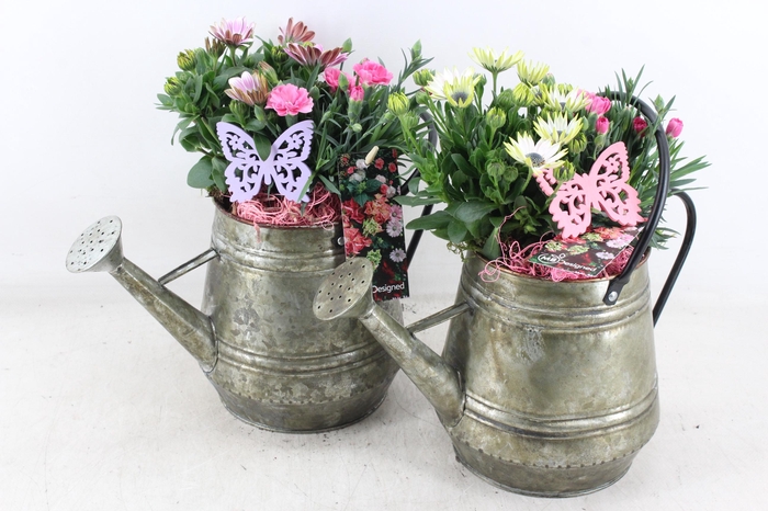 <h4>arr4 Outdoor MB - Zink gieter green 285/6</h4>