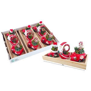 ARR KERST