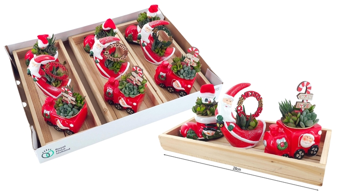 <h4>ARR KERST</h4>