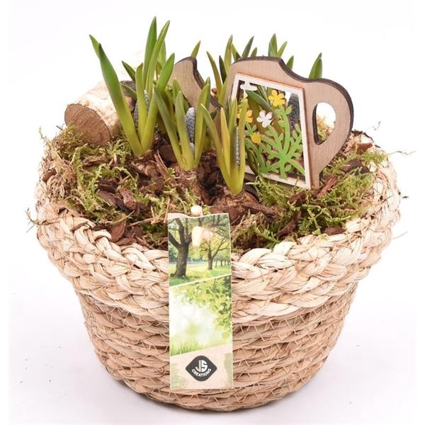 <h4>Jute mand met rand 18cm</h4>