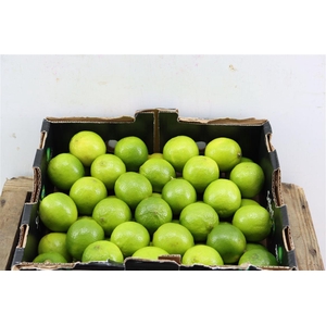 Sier Limes P Box X 54