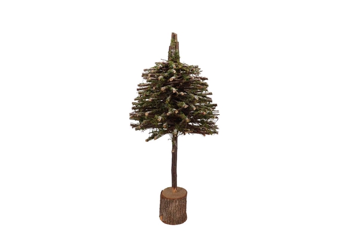<h4>Festive Tree Poplar Moss 25x25x60cm</h4>