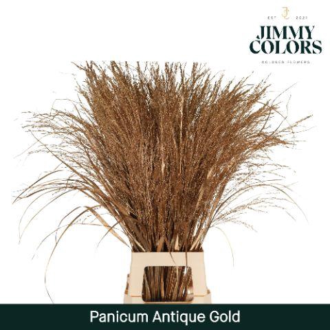 <h4>Panicum L90 Mtlc. Antique gold</h4>
