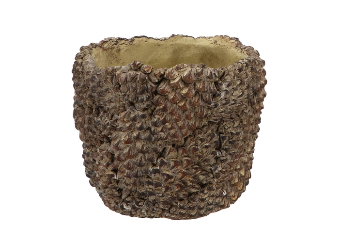 Concrete Natural Pinecone Pot Round 15x15x12cm Nm