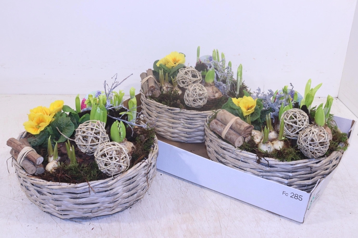 <h4>ARR TUINPLANTEN</h4>