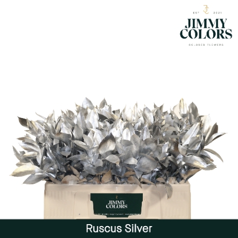 <h4>Ruscus L50 Mtlc. Zilver</h4>