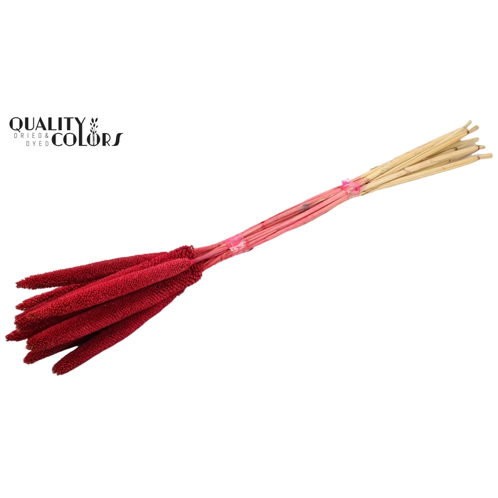 <h4>Babala on natural stem Cerise</h4>