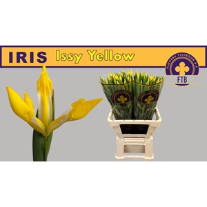IRIS OV