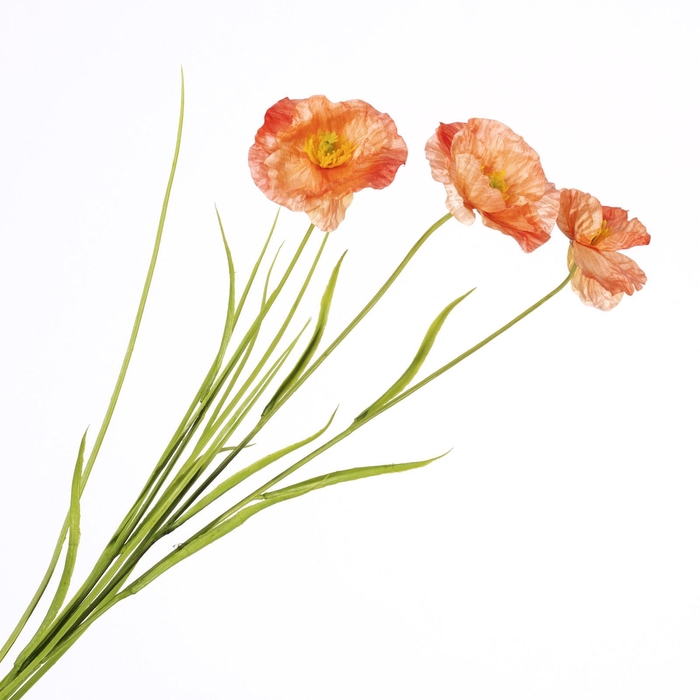 Papaver Spray Salmon FL440340SAL