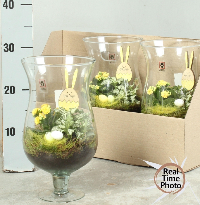 <h4>ARR KAMERPL</h4>