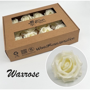Zijde R Wx Wit