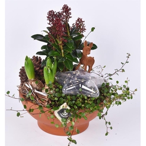 Terracotta schaal 26 cm