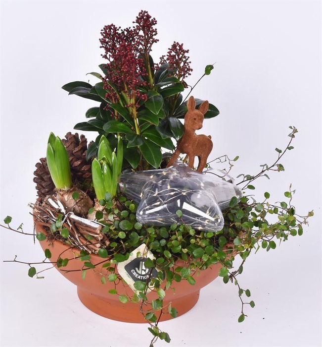 <h4>Terracotta schaal 26 cm</h4>